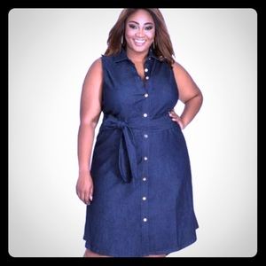 Ashley Stewart Denim Dress